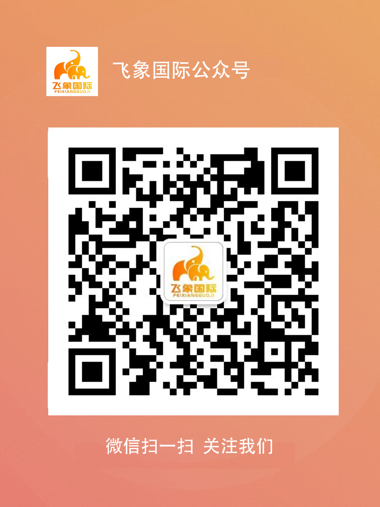 关于飞象国际：您的全球合规运输百科管家 1 - 飞象国际物流